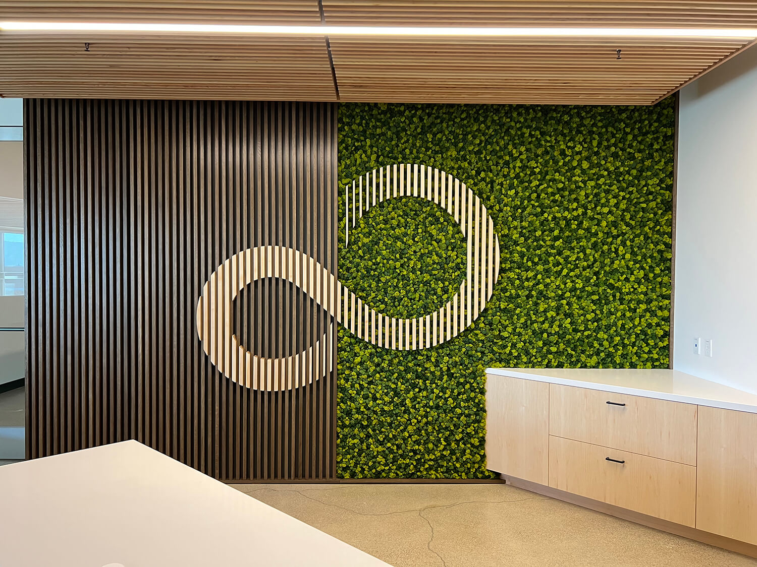 Preserved Moss wall panels created with a variety of preserved moss; reindeer moss. For eco-friendly interiors.